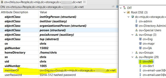 LDAP one member entry with groups highlighted