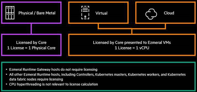 Licensing physical and virtual CPUs