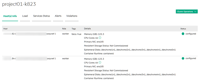 Kubernetes cluster Host(s) info tab