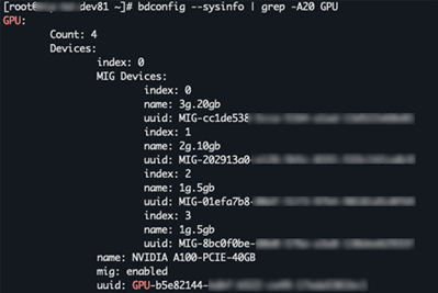 Example output of bdconfig --sysinfo command